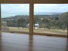 3. Bona Traffic on Tasmanian Oak Mt Martha